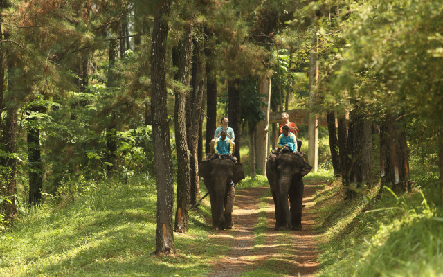 Plataran Borobudur Resort And Spa Hotel