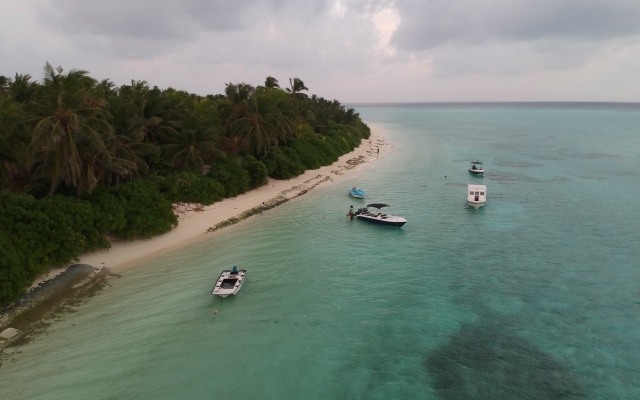 Вилла Dive Villa Thoddoo