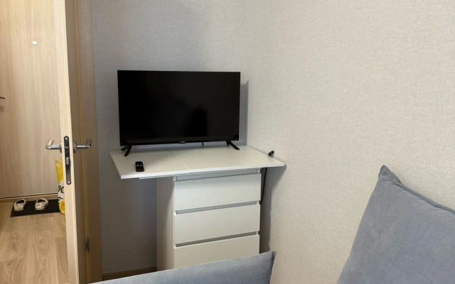 Квартира на Брюлловской 3