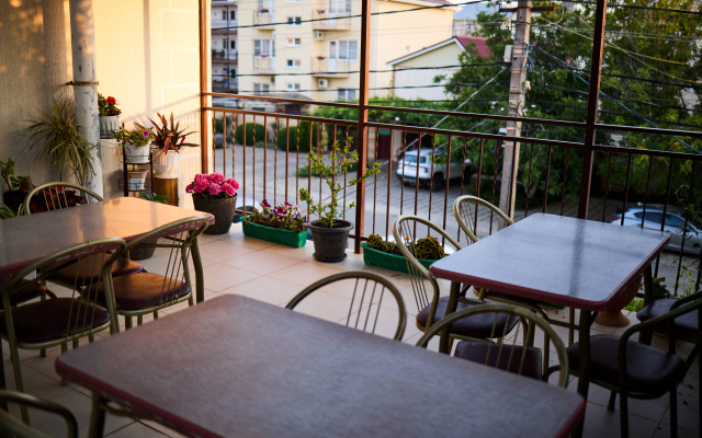 Daryya+ Guest house