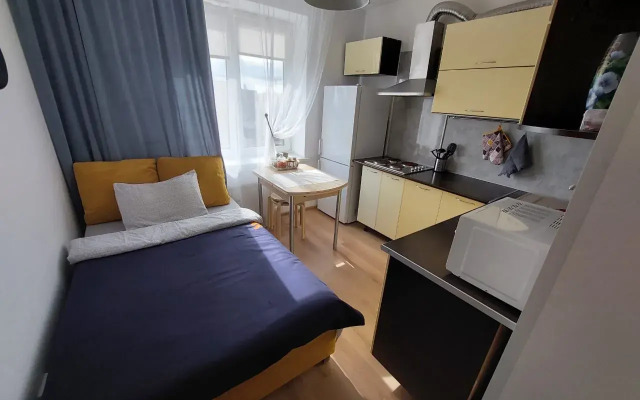 Квартира однокомнатная рядом с НИИ Петрова