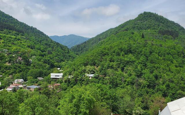 Dioscuria Borjomi Guest House