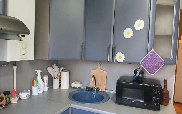Na Ulitse Dobrolyubova 6 Flat