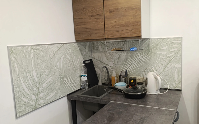 Studiya Na Pushkina Flat
