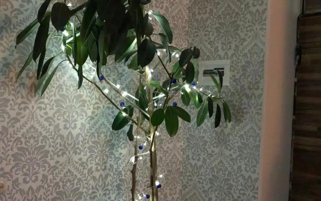 Апарт-отель Veni Vedi