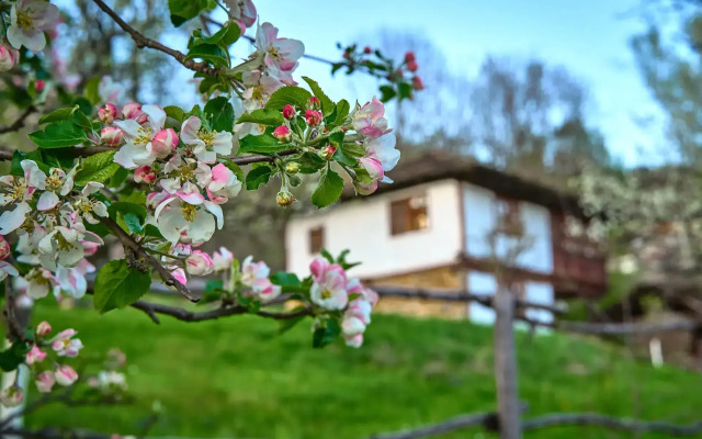 Karashka Guest House