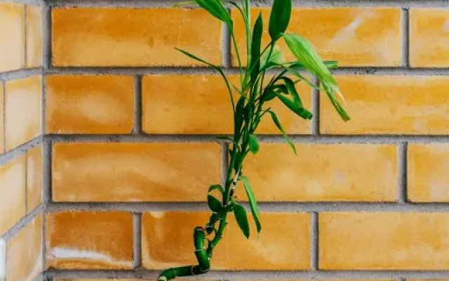 Квартира Pskov City Apartments 2 Lagernaya 5 A