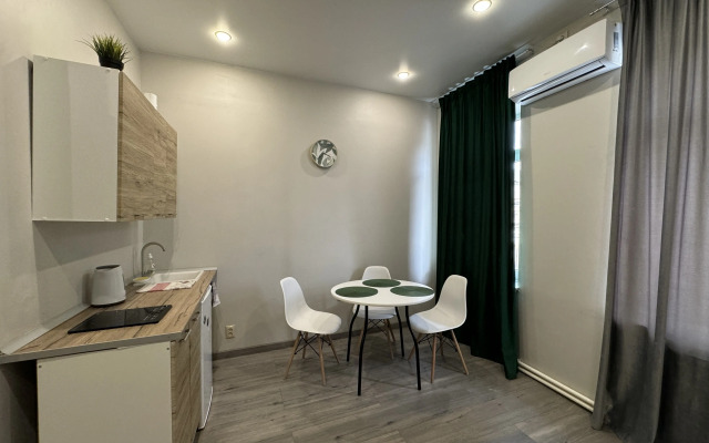 Studiya v tsentre goroda Flat