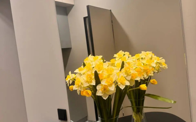 Апартаменты Grey Nights Apartments