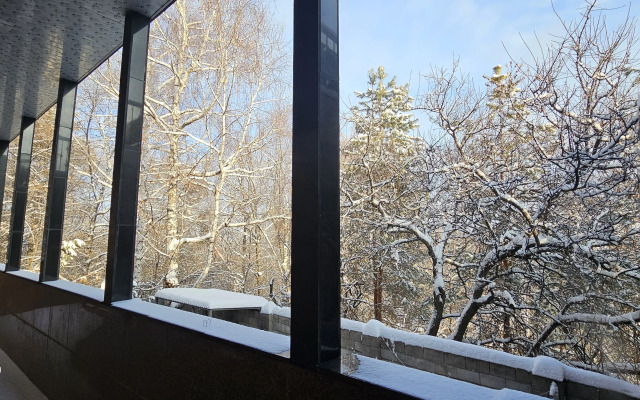 Villa Honey Apartments Almaty