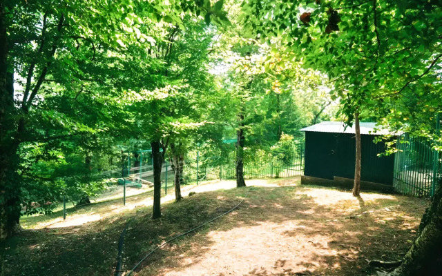 V Lesu U Morya Guest House