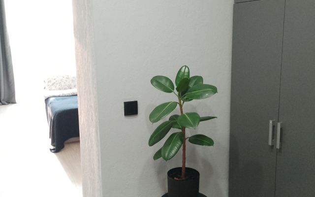 Квартира Янтарный Горизонт