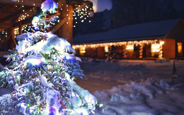 Апартаменты У лукоморья 2