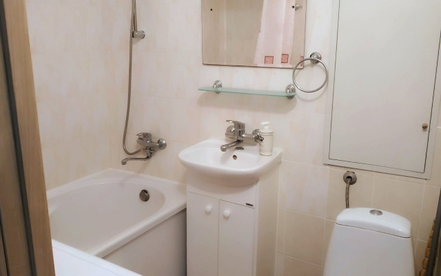 Na Brovtseva Apartaments