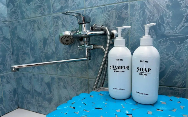 Квартира Однокомнатная на Геологоразведчиков 4