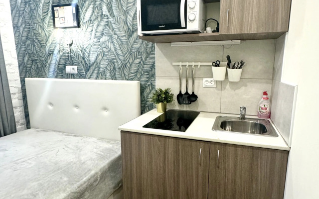 Апартаменты Liki-Mir Apartments Чкаловская