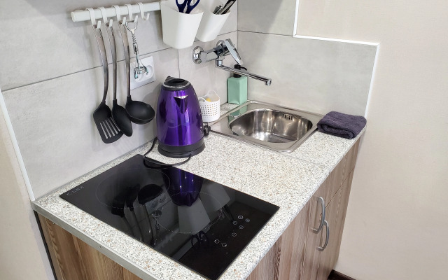 Апартаменты Светлая студия в Петроградской части города