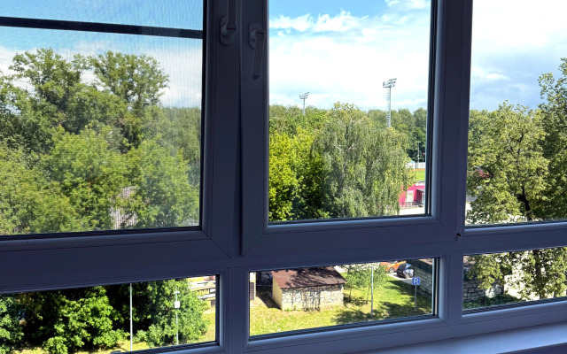 Odnokomnatnaya S Vidom Na Ozere V Tsentralnom Parke Flat
