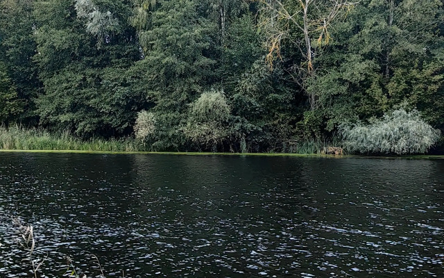 Recreation camp Park Polyanka