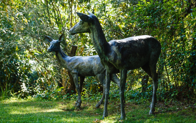 Отель Fonte Santa