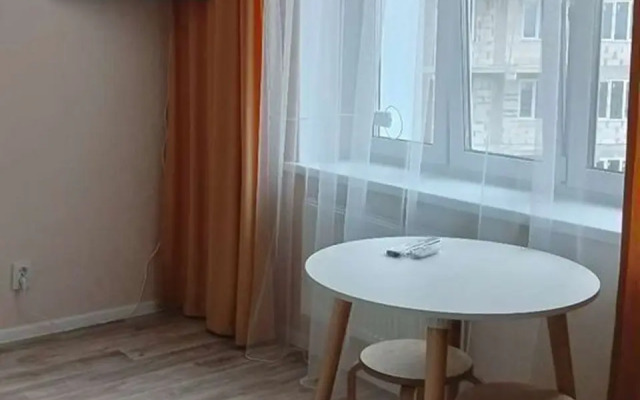 Studiya V Tsentre S Vidom Na Gorod Flat