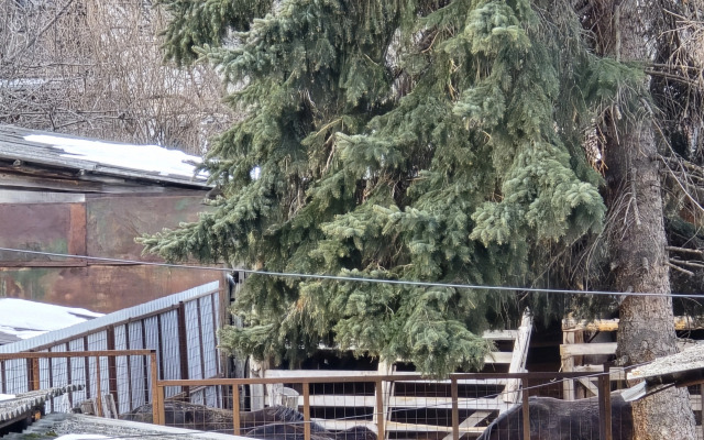 Квартира с видом на горы на улице Шевченко 13