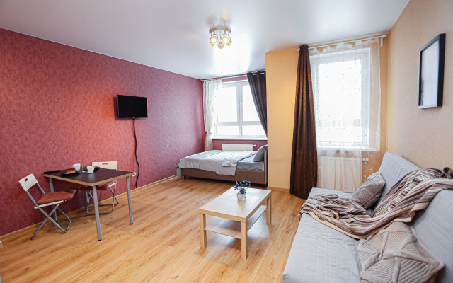 Studiya V Gagarinskikh Vysotakh Flat