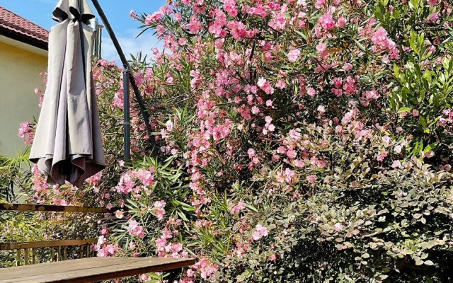 Happy rabbit Guest house