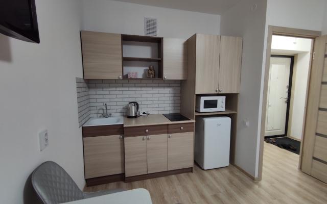 Na Frunze/moskovskiy Prospekt (studiya) Flat