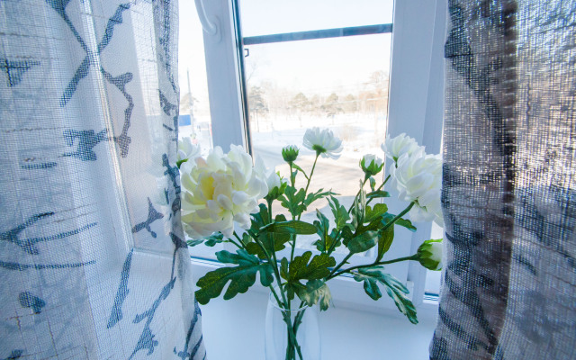 Solnechnaya Sortirovka Guest House