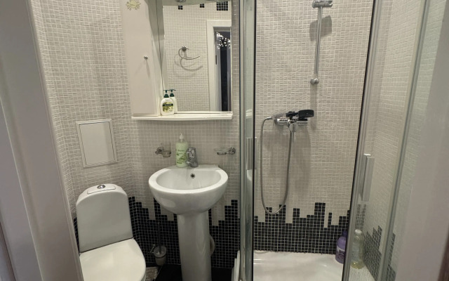 V Tsentre Goroda Flat