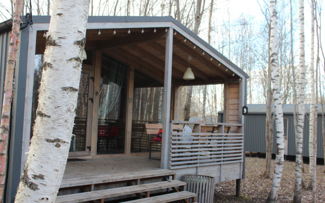 Частный дом в берёзовой роще