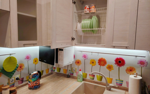 Uyutnaya Studiya V Zhukovskom Flat