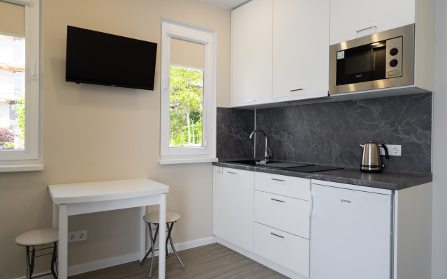 Na Fermerskom Pereulke Ot LetoApart Apartments