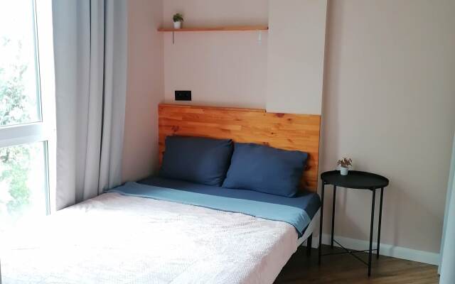 Uyutnaya Loft-Studiya Apartments