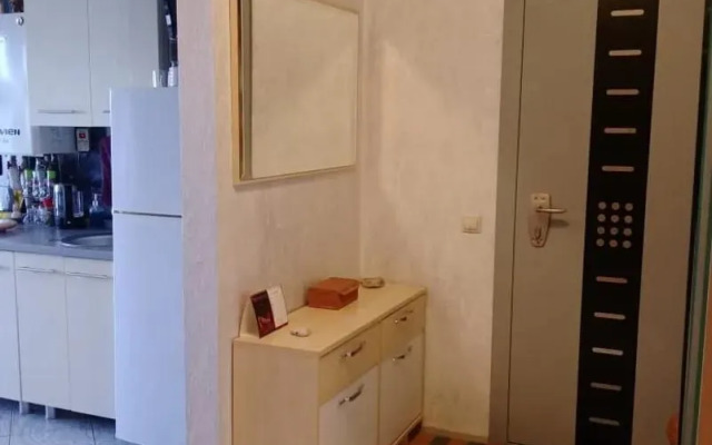 Квартира на улице Шаманова 4