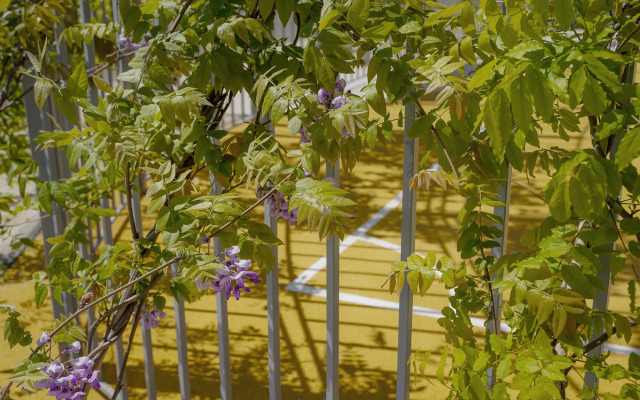 Chetyrekhmestnye Studiya Komfort Apartments