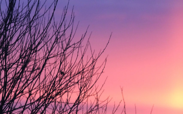 Гостевой дом Советов на Вазузе