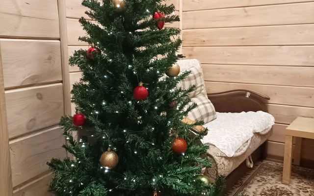 Частный дом на Берендеевской