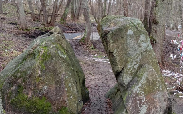 Квартира на улице Прибрежная