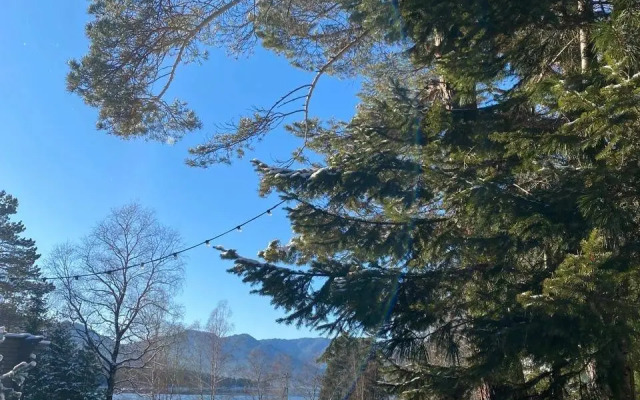 База отдыха Телецкое Золотое