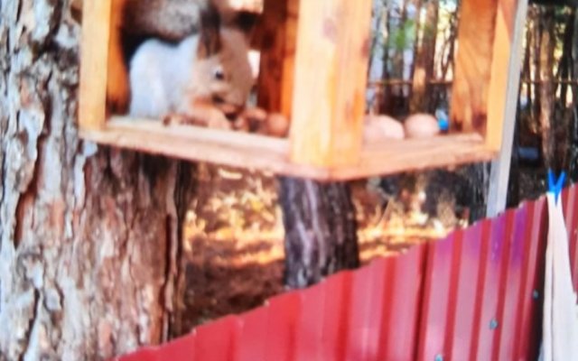 U Dyadi Fedora Guest House