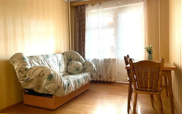 Servisnye apartamenty na prospekte Lenina Flat