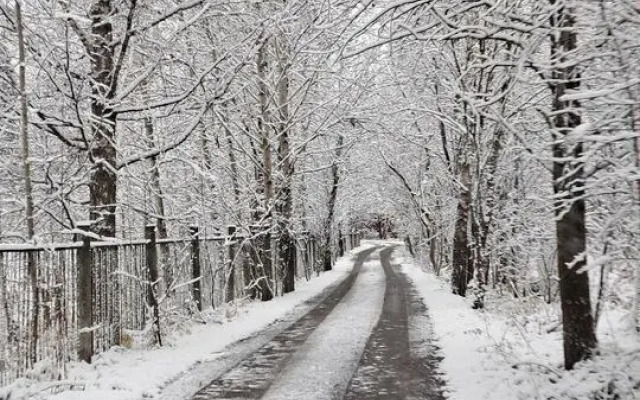 Частный Дом на Учаcткe 61 Соткa