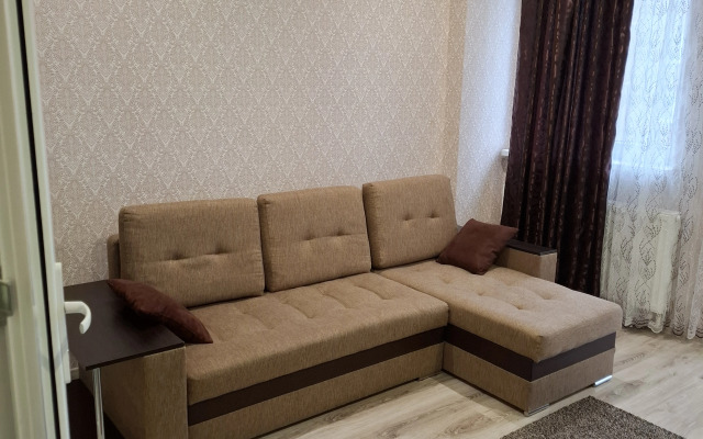 Квартира однокомнатная на Проспекте Советском 81/1