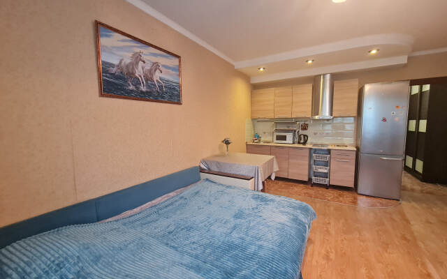 Na Ulitse Kuryzhova 16 Flat