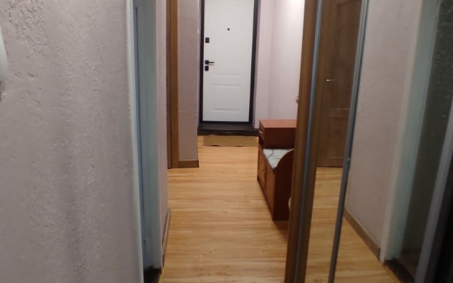 Centr Repina Street Flat