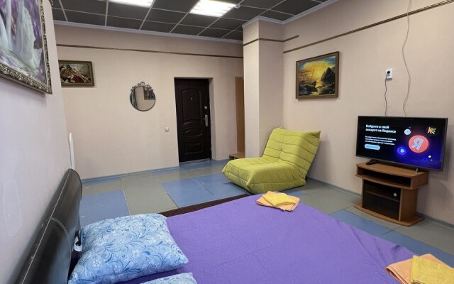 Апартаменты с видом на пруд - фото 5