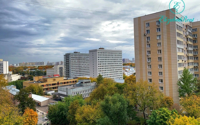 Квартира 1-комнатная ретро-винтаж квартира в центре Москвы