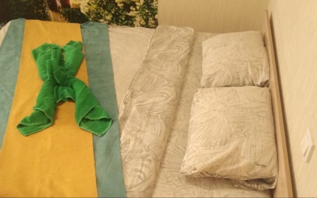One-room RusDom  near the Winter-Summer sports complexApartments
